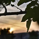 Lejlighedshotel Anemomylos Lixouri