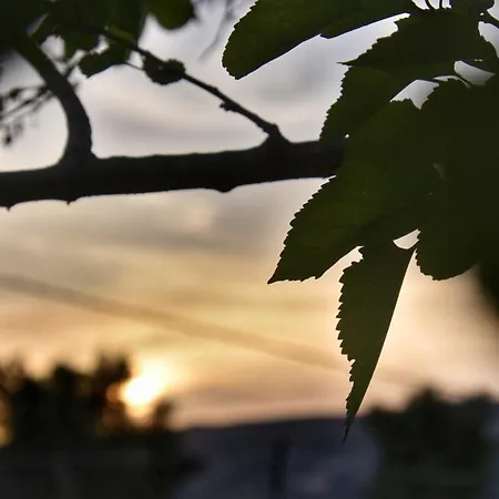 Ξενοδοχείο με διαμερίσματα Anemomylos Ληξούρι